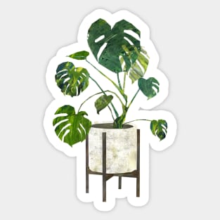 Monstera decliciosa Sticker